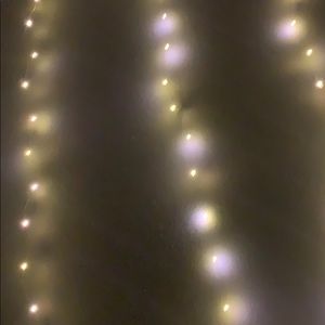 Meet your Posher, Bailey